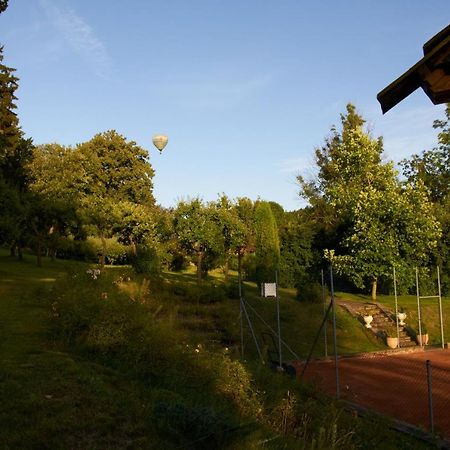 Chateau Radvanov Pension Mlada Vozice Esterno foto